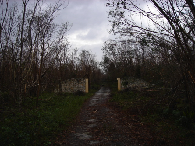 dsc00449.jpg